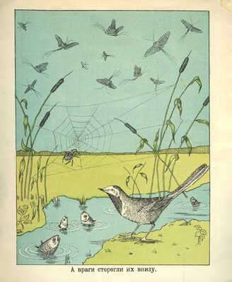 Бианки В. Однодневки / Рис. М. и С. Рахманиных. Л.; М.: Радуга, 1925.